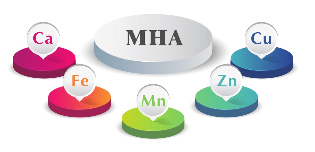 羟基蛋氨酸（MHA）螯合有机微量元素示意图